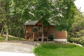 Luxury Cabin, Fireplace, Full Kitchen, King Bed